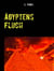 Ägyptens Fluch