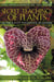 The Secret Teachings of Plants - The Intelligence of the Heart in the Direct Perception of Nature