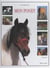 Mon poney