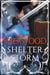 Shelter from the Storm