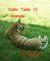 Celtic Tales 12, Animals - Celtic Tales, #2