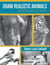 Draw Realistic Animals - Wildlife, Pets and More