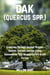 OAK (QUERCUS SPP.)-A Journey Through Ancient Origins, Genetic Secrets, and the Living Connections That Shaped Earth’s Great Forests