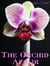The Orchid Affair