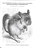 Max the Mole's Choice: Level Two Activities for Phonological Referencing