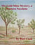 The Gold Mine Mystery, a Western Novelette
