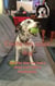 Cooba The Space Dog and that time we had a sleep over with a werehuman - Cooba the Space Dog, #6