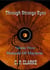 Through Stange Eyes - Monocle Of Mayhem - Through Strange Eyes, #3