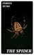 The Spider
