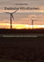 Explosive Windfarmen - Ein Kriminalroman rund um die erneuerbaren Energien.