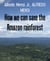 How we can save the Amazon rainforest - An open-source project that could save an entire environment from the civil exploitation