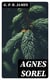 Agnes Sorel - A Novel