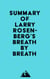 Summary of Larry Rosenberg's Breath by Breath