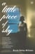 A Little Piece of Sky - A Novel