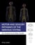 Motor and Sensory Pathways of the Nervous System