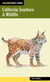 California Seashore & Wildlife