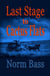 Last Stage To Cactus Flats