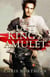 The Last King's Amulet - The Price of Freedom, #1