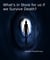 What's in Store for us if we Survive Death? - The Great Questions of Life, #1