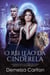 O Rei Leão da Cinderela: Um Romantasy de Conto de Fadas Romântico Contemporâneo - Companheiros Predestinados da Academia Espelho, #2