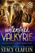 Unleashed Valkyrie - Valhalla's Curse, #5