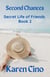 Second Chances - Secret Life of Friends, #2