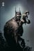Batman - La Cour des Hiboux - Intégrale