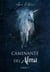 Caminante del Alma, libro 1