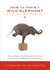 How to Train a Wild Elephant - And Other Adventures in Mindfulness