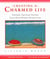 Creating a Charmed Life - Sensible, Spiritual Secrets Every Busy Woman  Should Know