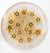 20 Perles Heishi Intercalaire - fleur dorée - 6x2 mm