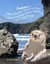 Peakabu’s Spiny Nubby Slimy Yummy Bubbly Friendly Wavy Splashy Tide Pool Tour