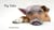 Pig Tales - Telling Tales, #1