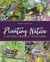 Planting Native to Attract Birds to Your Yard