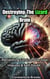 Destroying The Lizard Brain: Reclaiming Control Over Fear, Impulses & Self Doubt