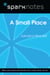 A Small Place (SparkNotes Literature Guide)