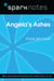 Angela's Ashes (SparkNotes Literature Guide)