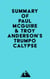 Summary of Paul McGuire & Troy Anderson's Trumpocalypse