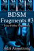 BDSM Fragments #3 - Filthy Fragments, #8
