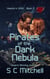 Pirates of the Dark Nebula - Destiny's Legacy, #2