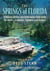 The Springs of Florida - A Natural History and Underwater Field Guide for Divers, Snorkelers, Paddlers, and Visitors