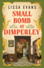 Small Bomb At Dimperley - The joyful new historical novel from the Sunday Times bestselling author of Old Baggage