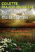 Sur les berges du lac Brûlé, tome 2 - Entre la ville et la campagne