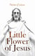 Little Flower of Jesus - Poems of St. Teresa Carmelite of Lisieux