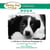 Chicken Soup for the Soul Celebrates Dogs and the People Who Love Them - A Collection in Words and Photographs
