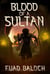 Blood of a Sultan - The Divided Sultanate, #0