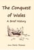 The Conquest of Wales - Stories of Medieval Gower, #6