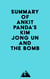 Summary of Ankit Panda's Kim Jong Un and the Bomb