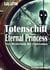 Totenschiff Eternal Princess - Das Mysterium der Föderation