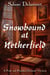 Snowbound at Netherfield: A Pride and Prejudice Christmas Variation